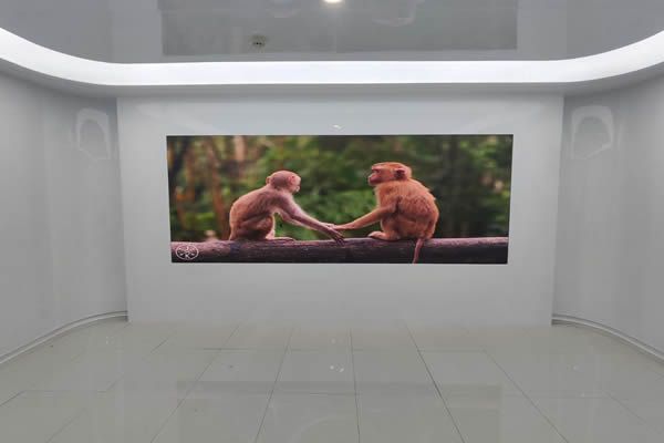 LED顯示屏的特點(diǎn)與行業(yè)應(yīng)用優(yōu)勢(shì)分析